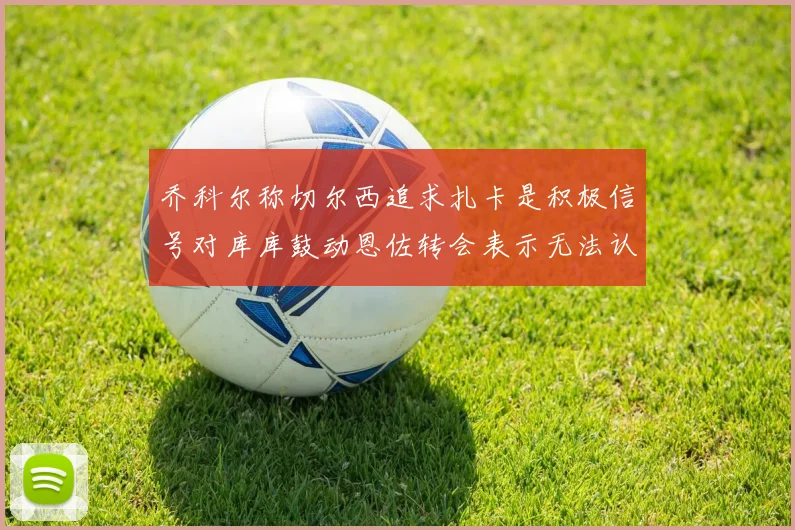 乔科尔称切尔西追求扎卡是积极信号对库库鼓动恩佐转会表示无法认同