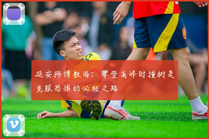 延安师傅教诲：攀登高峰时撞树是克服恐惧的必经之路